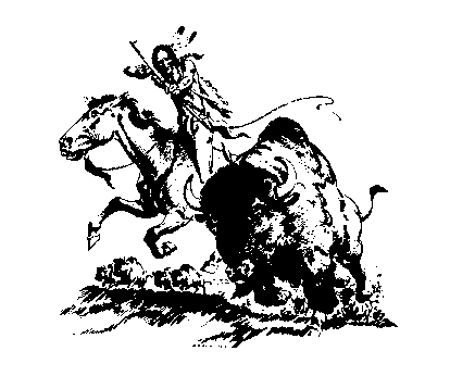 bison